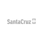 logo_santacruz